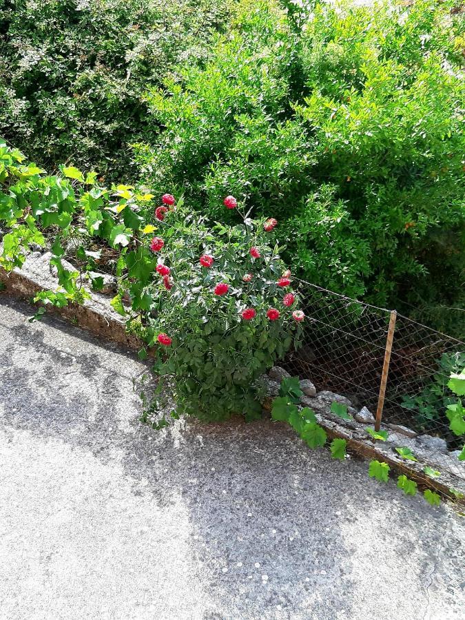 Apartments Parapid Budva Exterior photo
